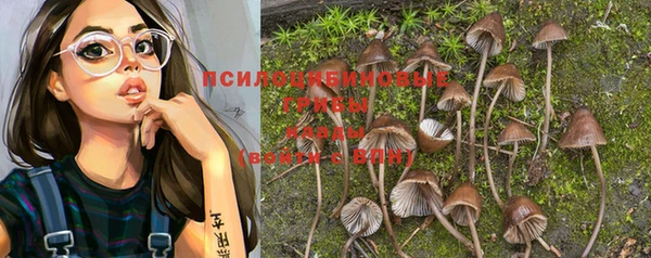 дурь Михайлов