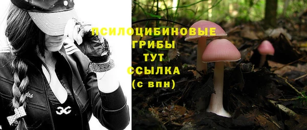 гидропоника Михайловск